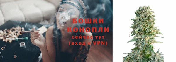дживик Володарск