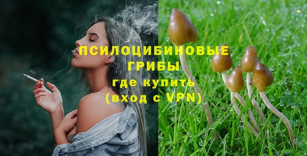 шишки Волосово